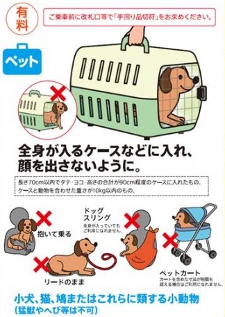 パグ犬と新幹線旅行 飛行機に乗れない短頭種犬はどうすれば 今日も今日とて パグライフ By Babypug
